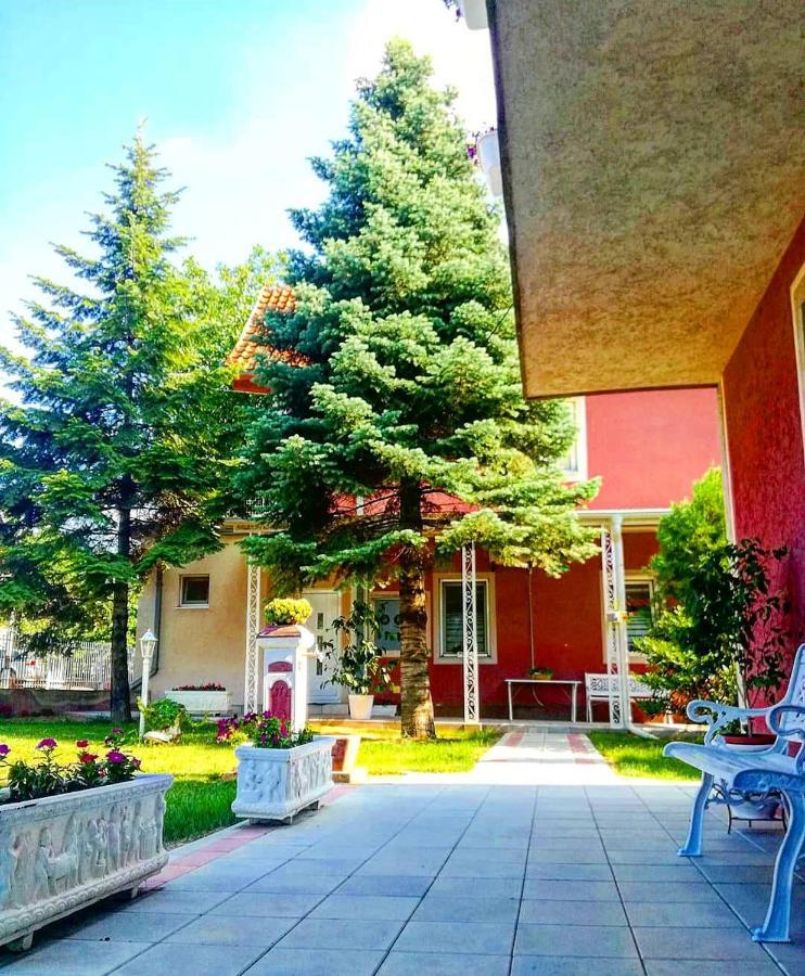Maslina Rooms Smederevo Extérieur photo